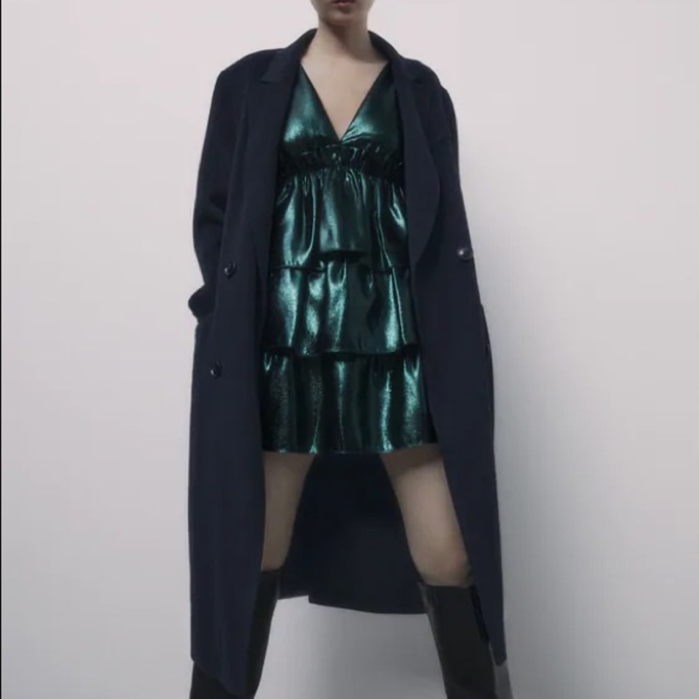 Zara Shimmery Ruffled Dress